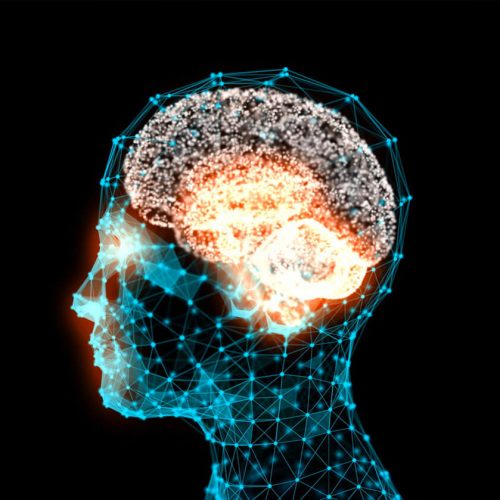 Story IQ brain lights