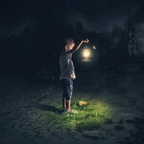 Boy outside in dark holding lantern over grass and flowers