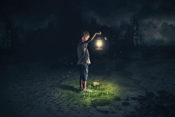Boy outside in dark holding lantern over grass and flowers