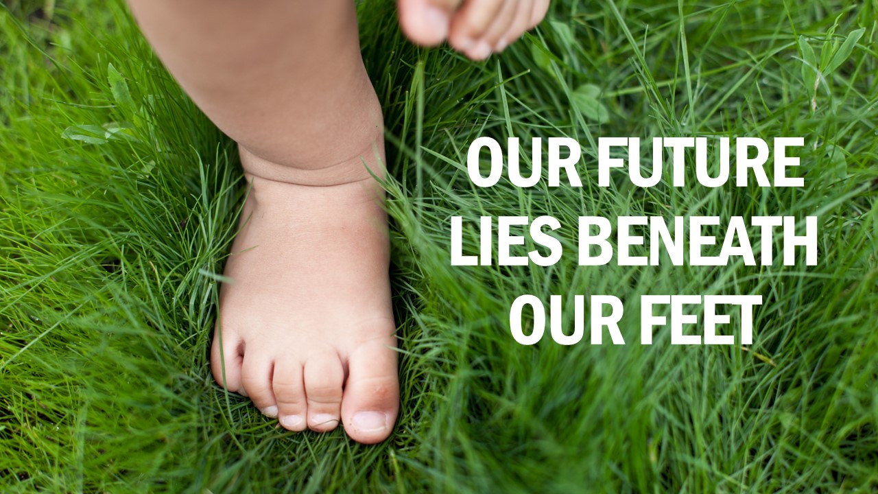 Uptake Fertiliser