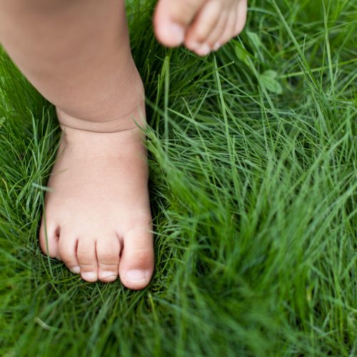Uptake Fertiliser Story IQ