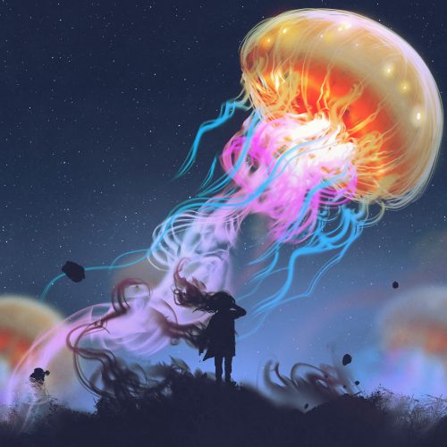 Story IQ better content with contrast colourful octopus