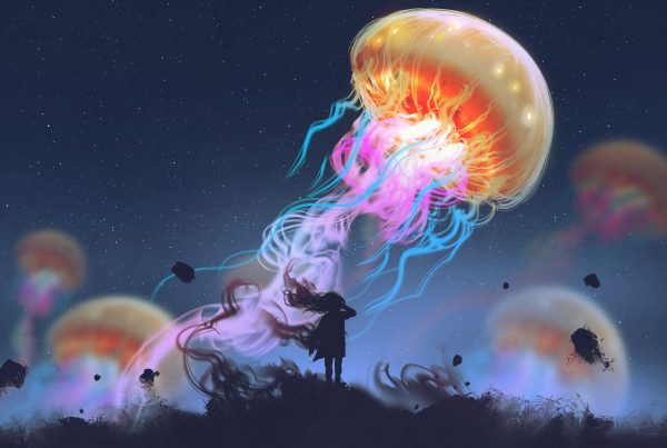 Story IQ better content with contrast colourful octopus